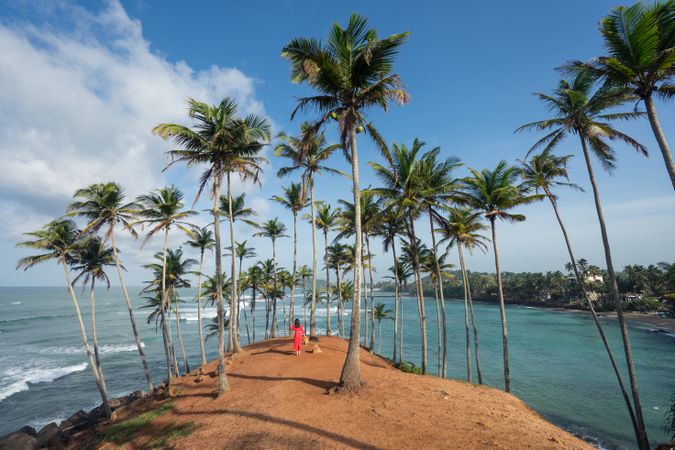 Tranquil female traveler among palms at seashore