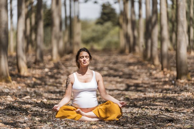 Calm adult pregnant woman practicing yoga while sitting in pose lotus on ground in park during sunny day