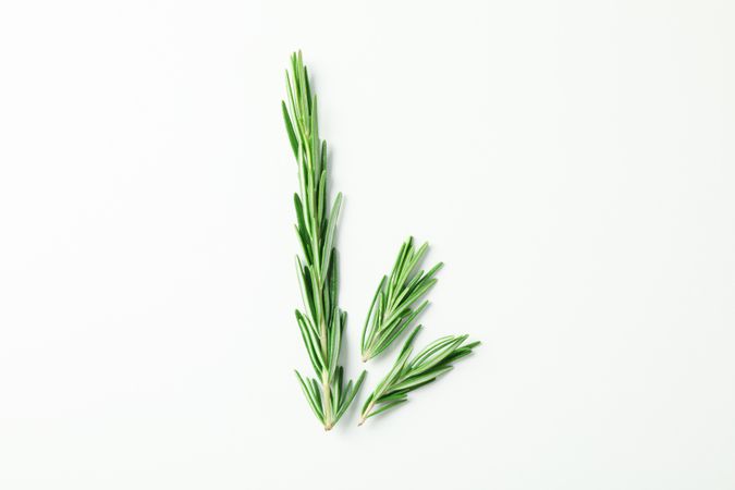 Flat lay composition with rosemary on plain background, space for text