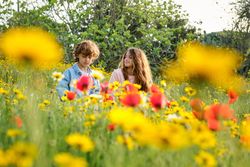 Siblings relaxing in blossoming field together