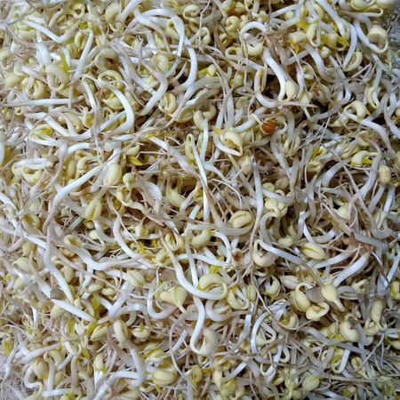 sprouts