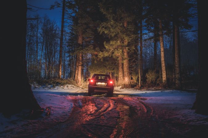 Car riding along dirty road in evening forest