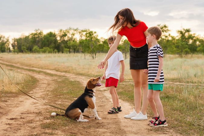 Young woman training purebred beagle