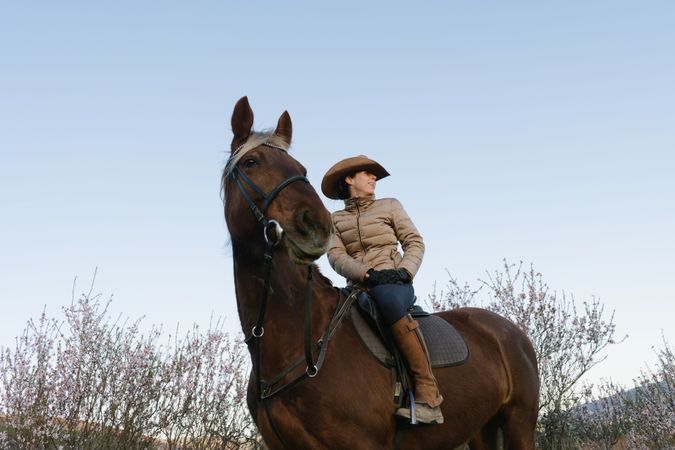 Woman on horse in field