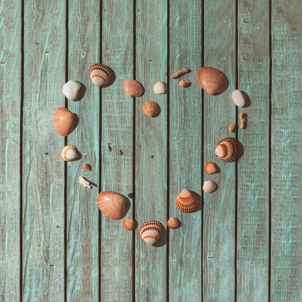 Sea shells arranged in heart shape on blue background