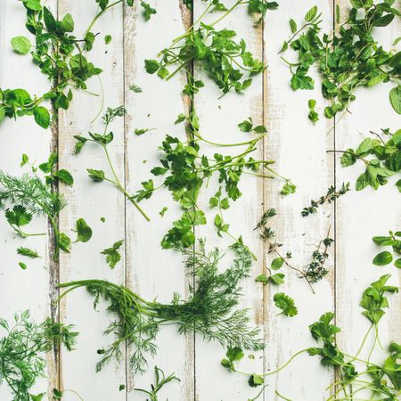 Variety of green garden herbs on wood countertop