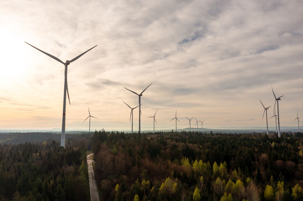Drone aerial view with wind turbines farm inside a forest at sunrise