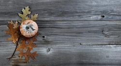 Single autumn pumpkin with leaves on weathered wood for the holiday concept