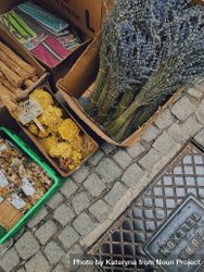 Looking down at dried plants for sale 4BeGk5