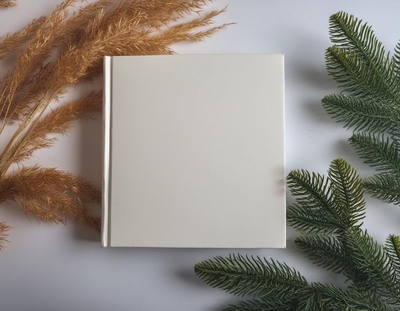 Cream cover book