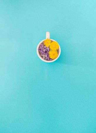 Mug with purple and yellow flowers in water with copy space