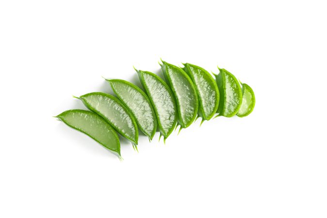 Aloe vera slices isolated on blank background. Herbal medicine