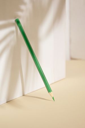 Green pencil standing against the wall with shadow