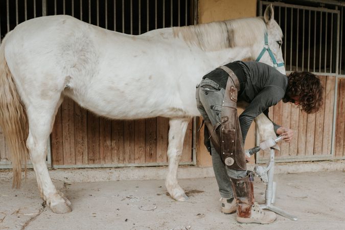 Anonymous farrier measuring horse hoof