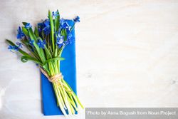 Top view of blue napkin with blue scilla siberica 0V661Y