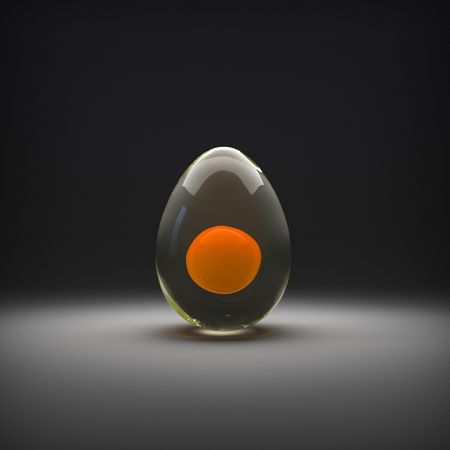 Translucent whole egg on dark background