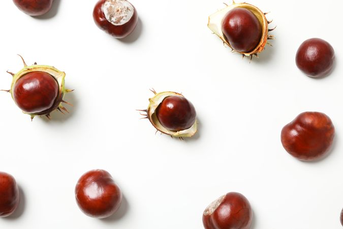 Fresh and ripe chestnuts, Autumn season chestnuts