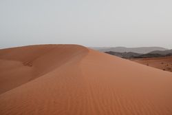 Sandy dune in arid desert