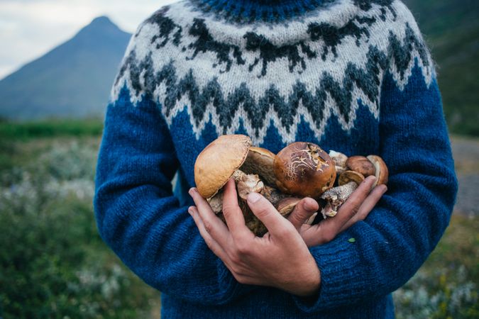 Man in blue wool sweater cradling pile of foraged  mushrooms