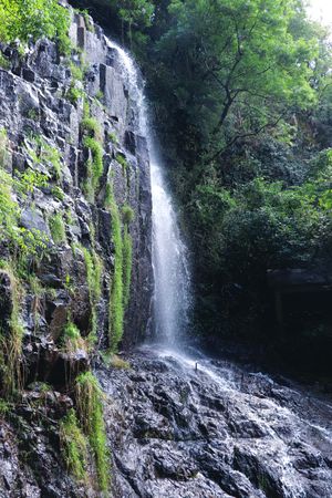 Waterfall is in summer day. Small waterfall.