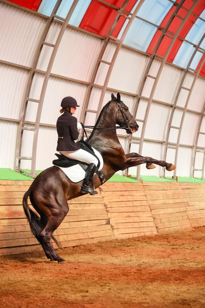 Horseback rider in smart uniform practicing dressage