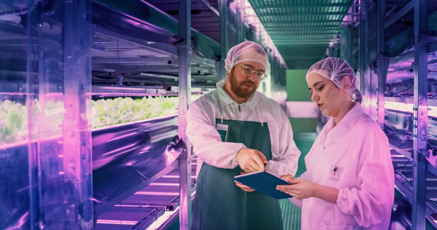 Vertical Farm Specialists Talking in Corridor with Fresh Crops. Female and Male Farmers in Protective Contamination Uniform and Headwear Working Indoors. Natural Plants Growing Under LED Lights