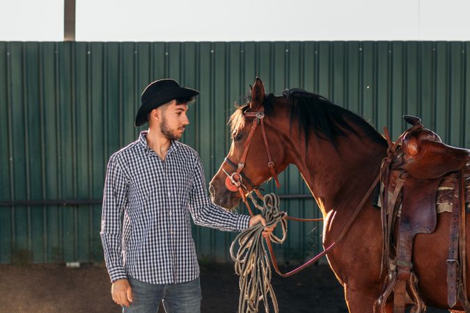 Horse in a riding center