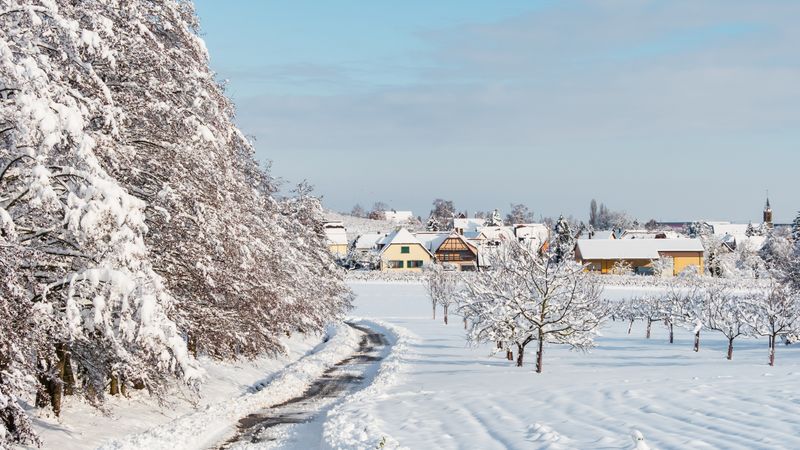 Winter's Tale. Snow-covered clean light landscape of Alsace.