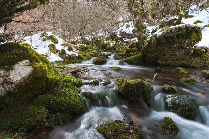 River running between stones in moss in forest