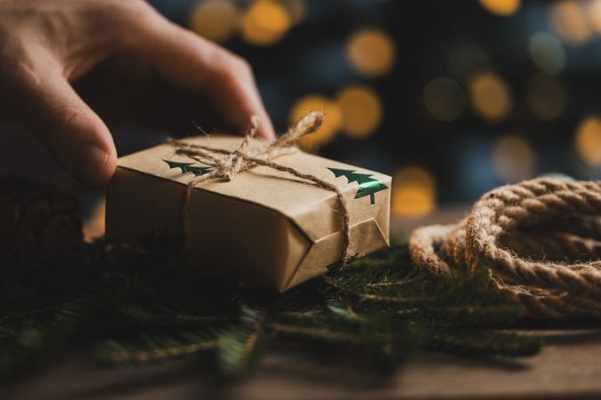 Eco friendly Christmas gift in hands