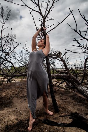 Woman posing on twigs of dry trees