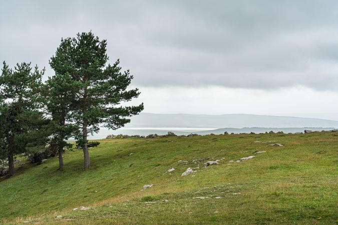 Rural summer landscape