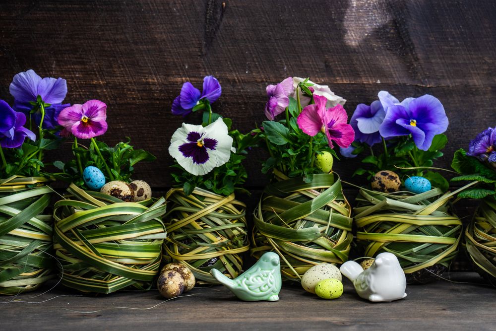 Easter holiday card with pots of pink &  purple flowers and decorative eggs and rabbit