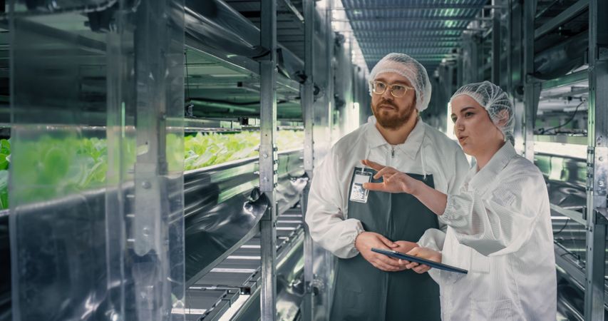 Couple Farming Experts Working at an Indoors Vertical Farm. Young Diverse Team of Gardening Specialists in Protective Contamination Uniform and Headwear Talking in a Corridor with Fresh Produce