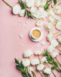 Spring morning concept