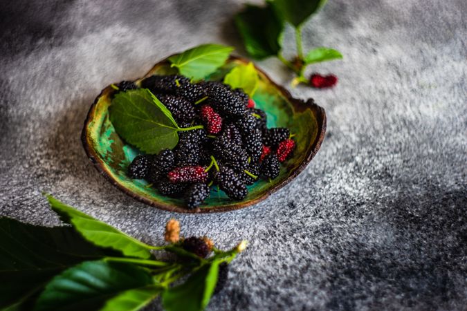 Organic mulberry in a ceramic bowl