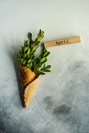 Easter card concept with green branch in waffle cone with "April" block