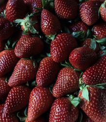 Heap of ripe strawberries with leaves