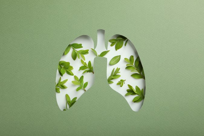 Lung shape cut out of green paper revealing leaves underneath