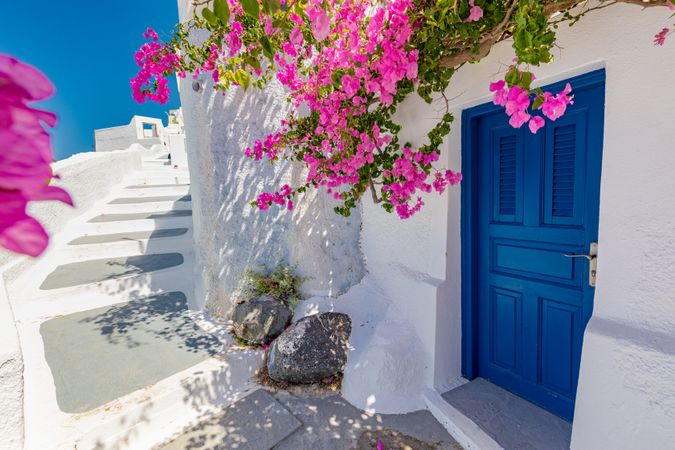 Small stair lane in Santorini with blue door and pink flowers