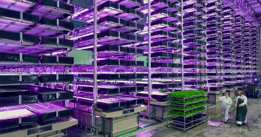 Aerial Drone Shot with Vertical Farm Production Workers Walking, Passing a Loaded Rack with Fresh Green Vegetable Leaves. Farmers Working with a Hydroponics Gardening System at an Indoors Facility