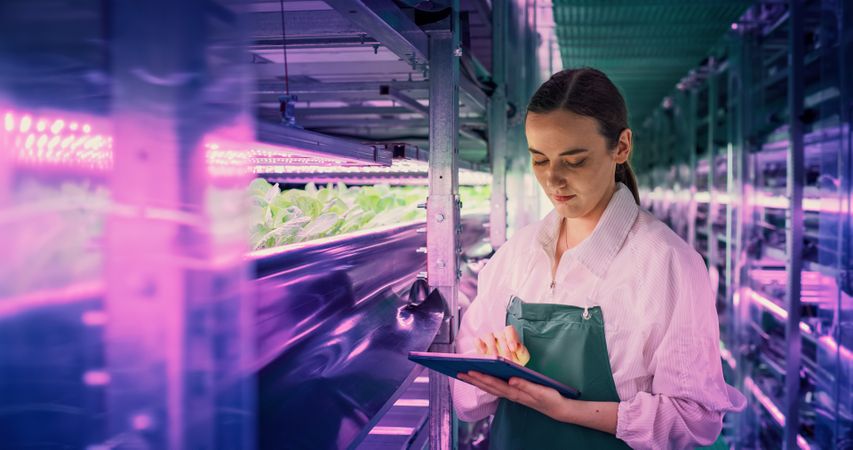 Portrait of a Vertical Farm Technical Specialist Working in a Facility with Ultraviolet LED Lights. Female Hydroponics Engineer Using Tablet Computer in Order to Optimize Crops Growing Potential