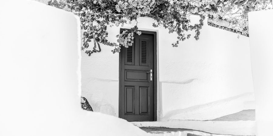 Monochrome image of door with floral overhang