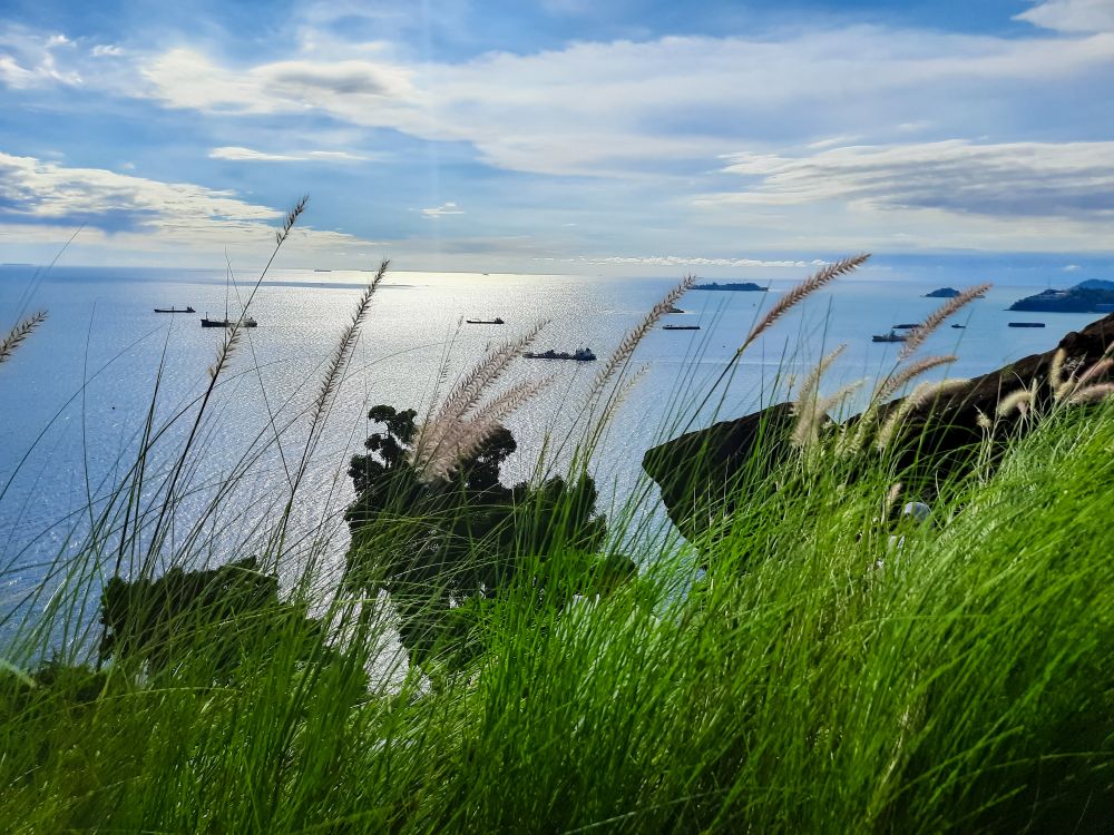 view of the sea from the hill with weed grass in the foreground in the Bukit Lampu area, Teluk Bayur, Padang city