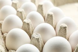 Chicken eggs in carton box as background, space for text