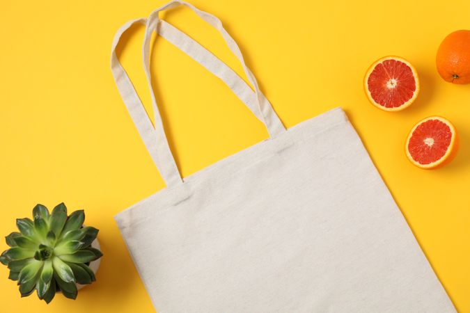 Eco bag, succulent plant and orange on color background, copy space