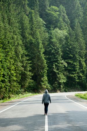 Back view of person in gray hoodie walking on road in the woods