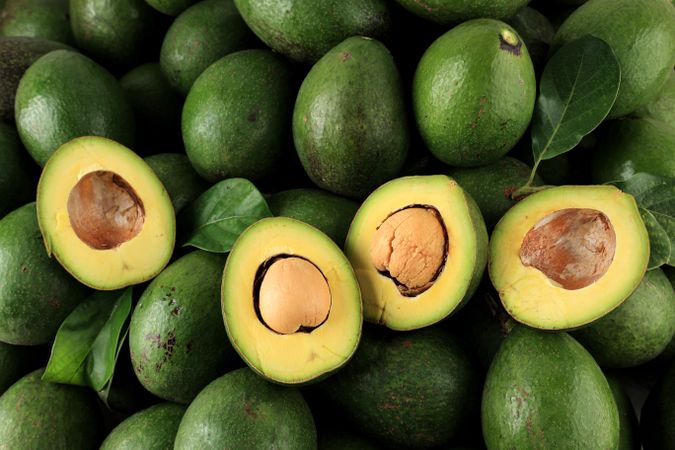 Green Ripe Avocado Top Up View.