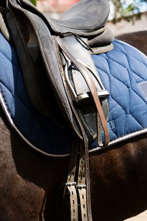Leather saddle on a horse.