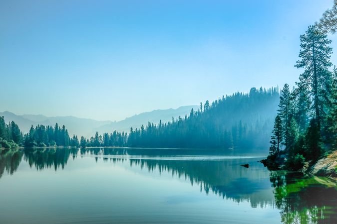 Green trees surrounding calm lake with reflection on water
